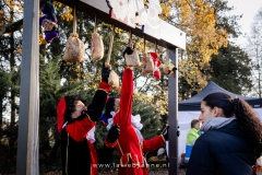 LaViebyAnne-image-147